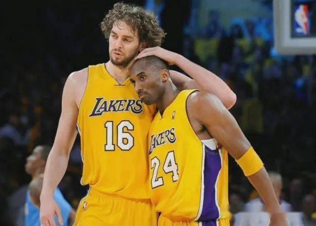 国际声誉 国际声誉