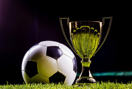 借出色的综 借出色的综