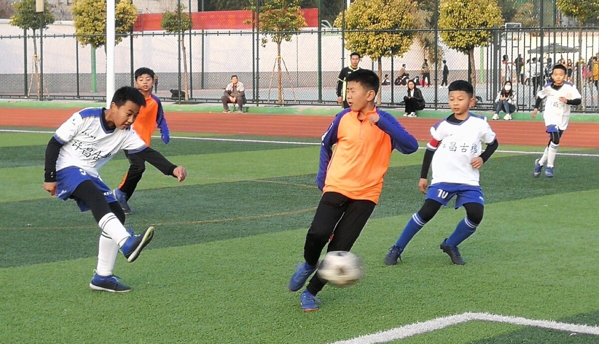 花的基础上 花的基础上